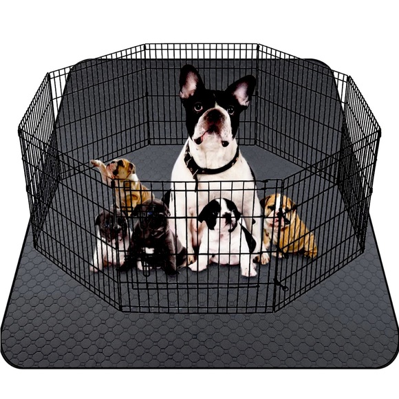 Doggie pee pad
